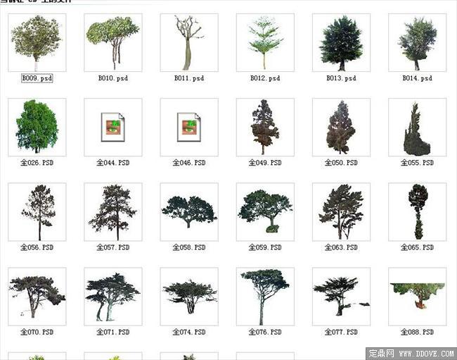 建筑植物配景素材之树+资料来