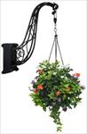 铁艺吊藤花卉素材－80张PSD格式后期花卉植物素材－FB62