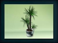 装饰构件之植物3D模型植物004