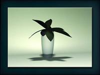装饰构件之植物3D模型植物013