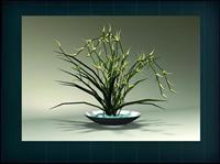 装饰构件之植物3D模型植物014