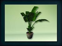 装饰构件之植物3D模型植物026