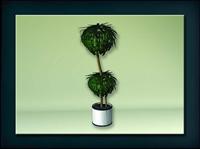 装饰构件之植物3D模型植物031