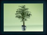 装饰构件之植物3D模型植物030