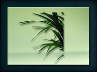 装饰构件之植物3D模型植物021