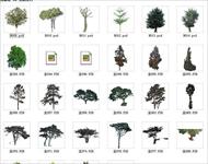 园林、建筑植物配景素材之树