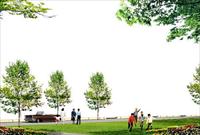 广场效果图素材之前景树－人物素材－植物草坪素材－PSD分层素材模板